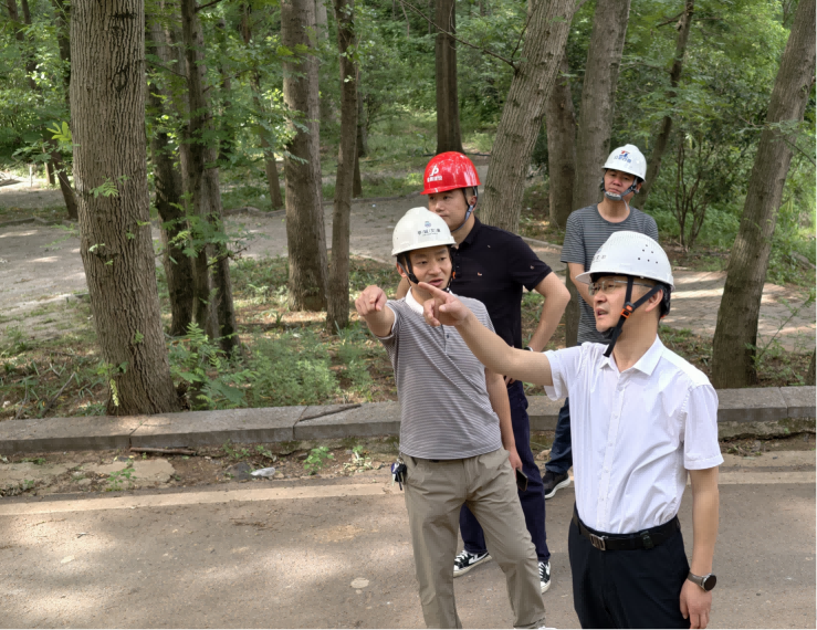 市文旅集团以实干实效深化中央八项规定精神 彰显国企政治担当